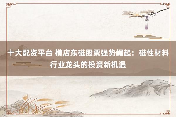 十大配资平台 横店东磁股票强势崛起：磁性材料行业龙头的投资新机遇