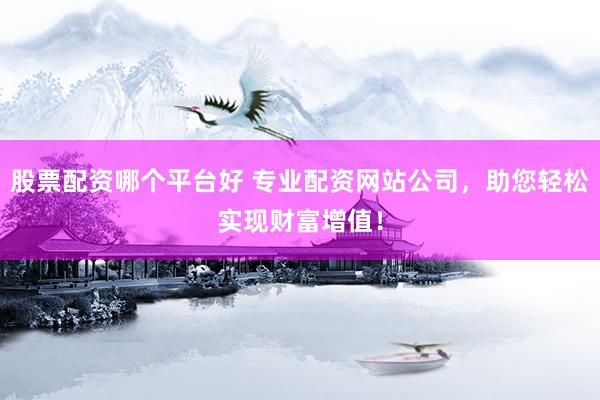 股票配资哪个平台好 专业配资网站公司，助您轻松实现财富增值！