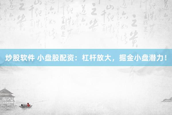炒股软件 小盘股配资：杠杆放大，掘金小盘潜力！