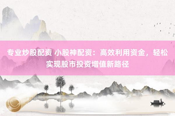 专业炒股配资 小股神配资：高效利用资金，轻松实现股市投资增值新路径