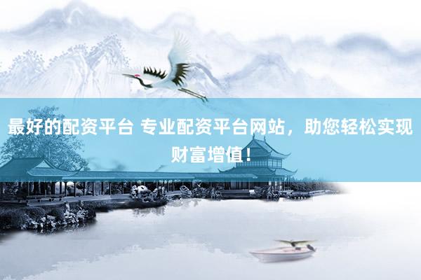 最好的配资平台 专业配资平台网站，助您轻松实现财富增值！