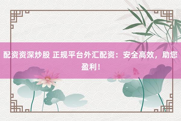 配资资深炒股 正规平台外汇配资：安全高效，助您盈利！
