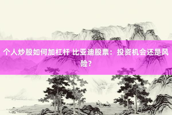 个人炒股如何加杠杆 比亚迪股票：投资机会还是风险？