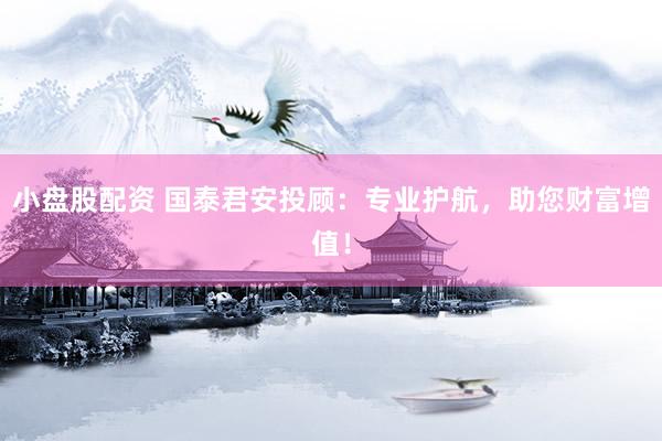 小盘股配资 国泰君安投顾：专业护航，助您财富增值！