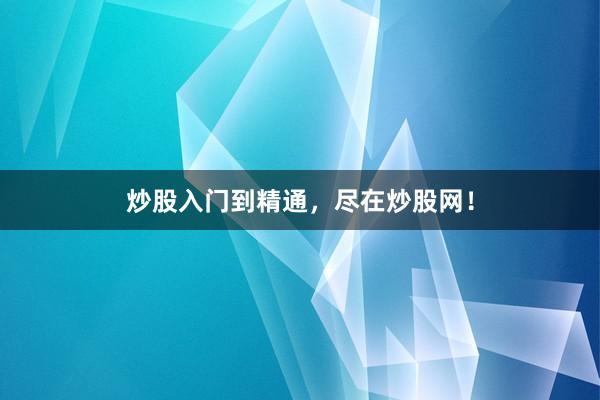炒股入门到精通，尽在炒股网！