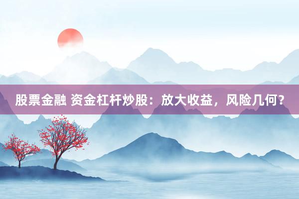 股票金融 资金杠杆炒股：放大收益，风险几何？