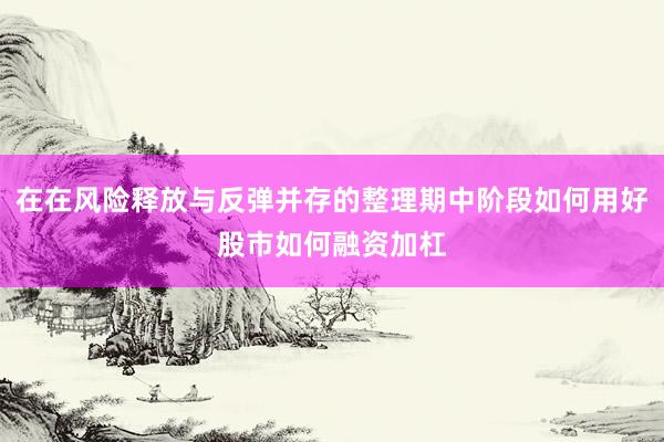 在在风险释放与反弹并存的整理期中阶段如何用好股市如何融资加杠