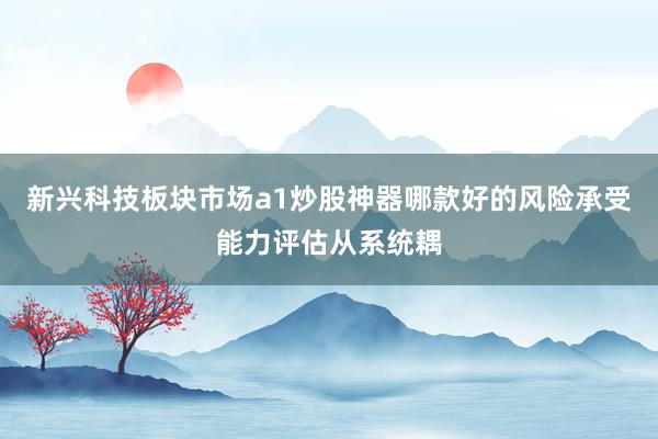 新兴科技板块市场a1炒股神器哪款好的风险承受能力评估从系统耦