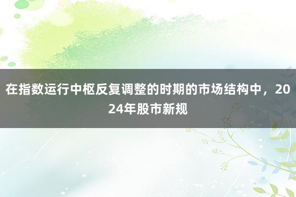在指数运行中枢反复调整的时期的市场结构中，2024年股市新规