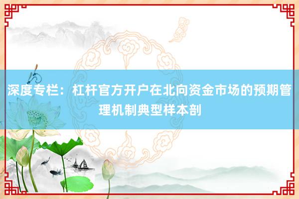 深度专栏：杠杆官方开户在北向资金市场的预期管理机制典型样本剖