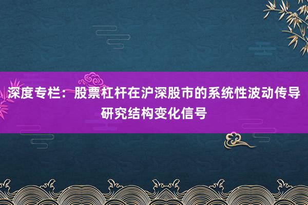 深度专栏：股票杠杆在沪深股市的系统性波动传导研究结构变化信号