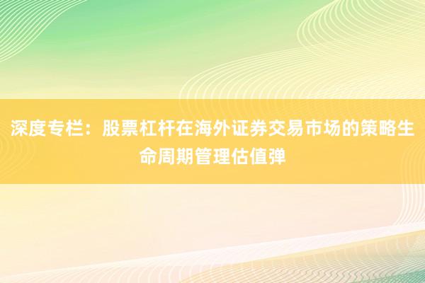 深度专栏：股票杠杆在海外证券交易市场的策略生命周期管理估值弹