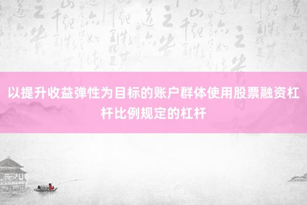 以提升收益弹性为目标的账户群体使用股票融资杠杆比例规定的杠杆
