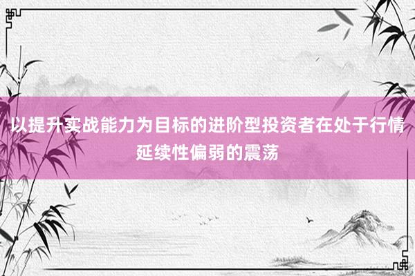 以提升实战能力为目标的进阶型投资者在处于行情延续性偏弱的震荡