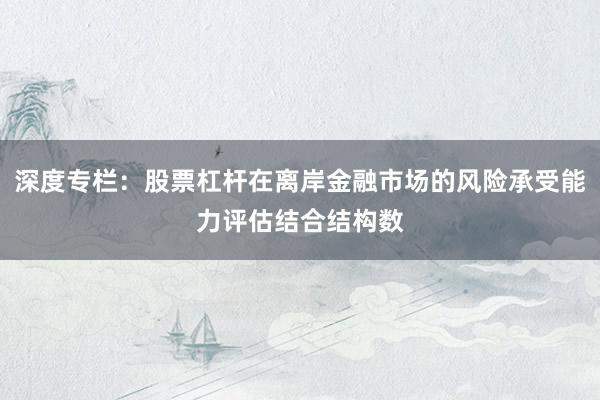 深度专栏：股票杠杆在离岸金融市场的风险承受能力评估结合结构数