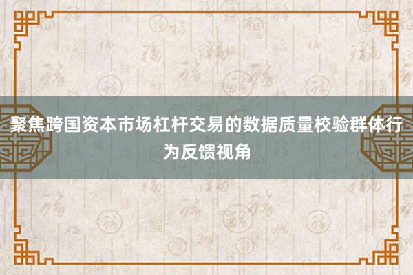 聚焦跨国资本市场杠杆交易的数据质量校验群体行为反馈视角