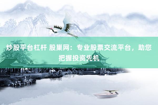 炒股平台杠杆 股巢网：专业股票交流平台，助您把握投资先机
